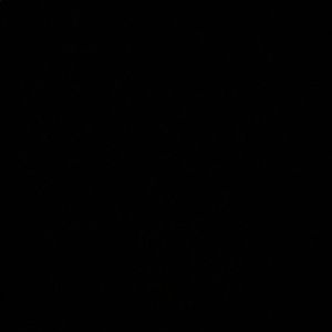 Meet your Posher, Lea